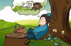 十万个冷笑话守株待兔篇,智慧与侥幸的寓言故事