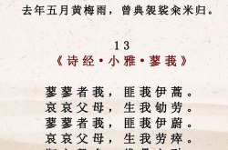 母亲名言名句摘抄,母亲名言名句的启示录